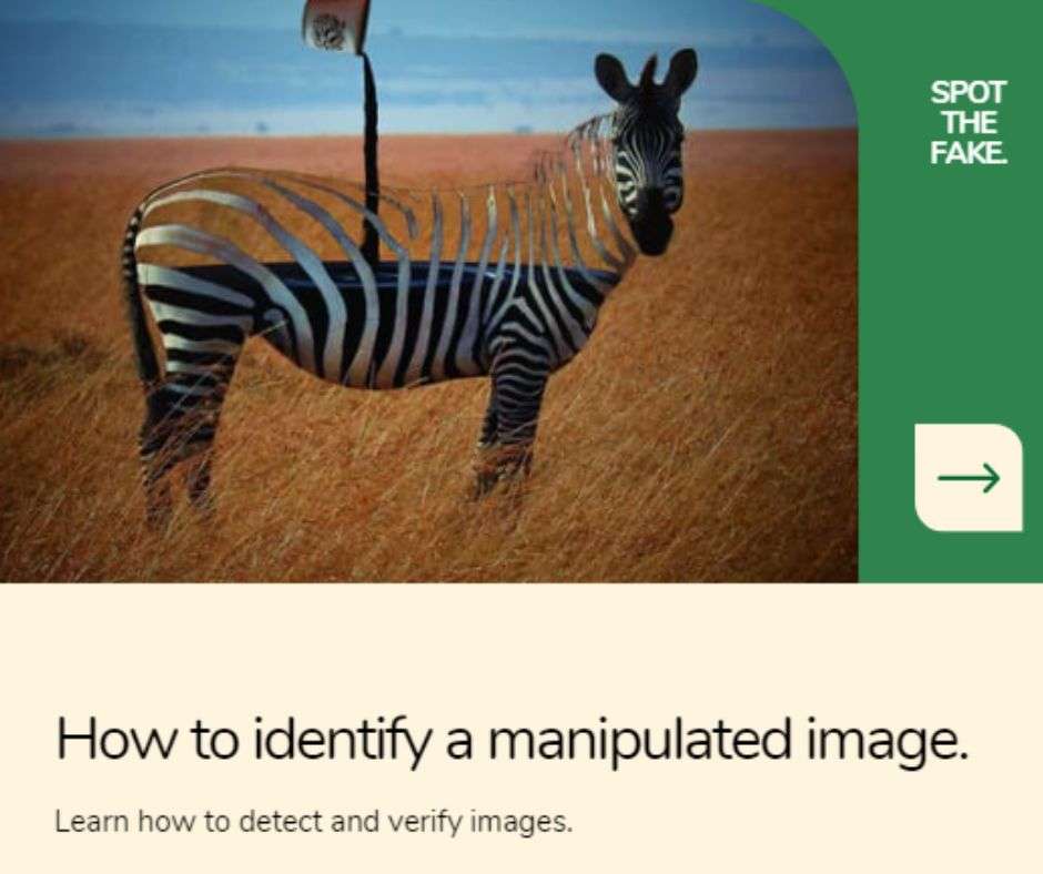 How to Spot Identify a Manipulated Image