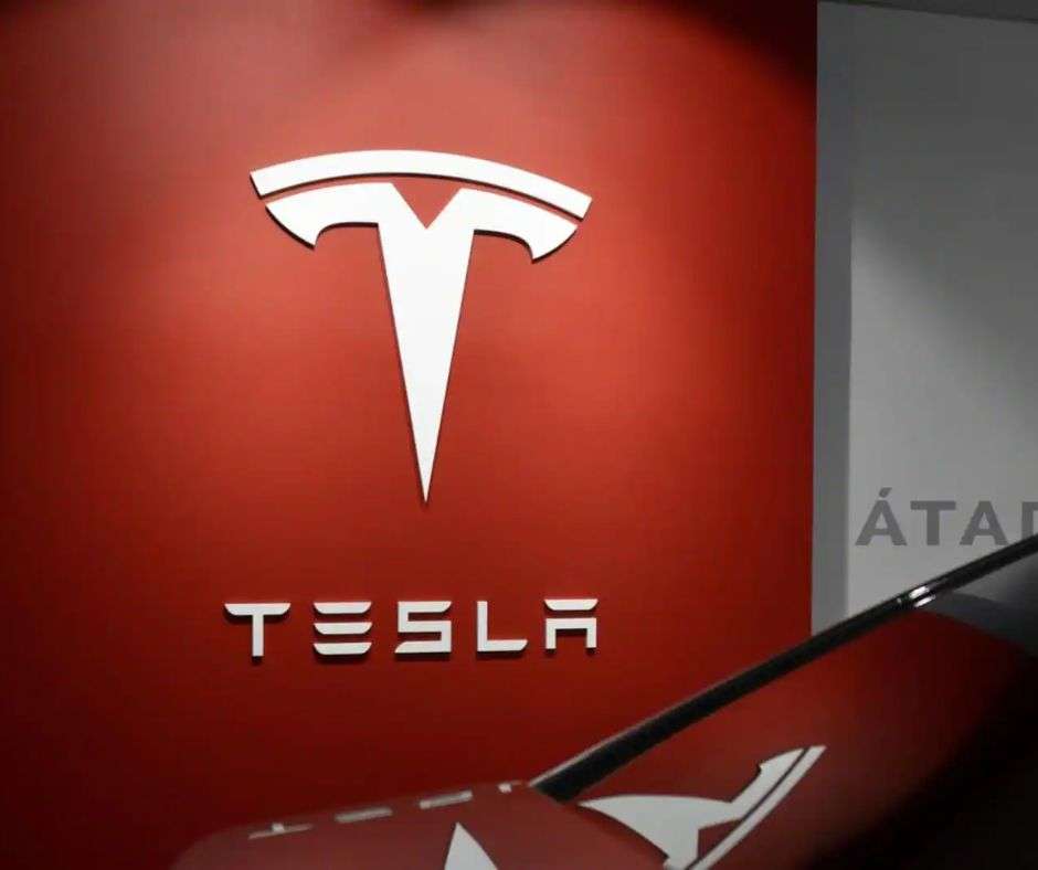 Tesla's Journey to Establish an EV Factory in India