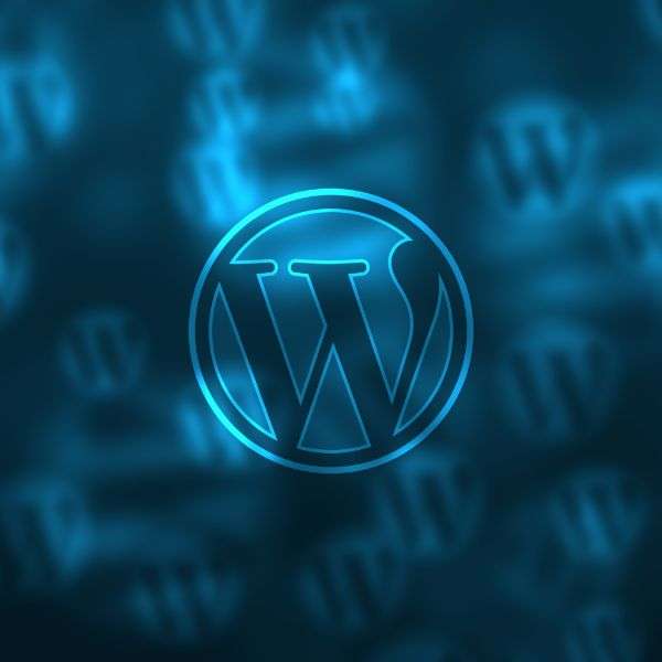 Complete WordPress Web Bulding Course